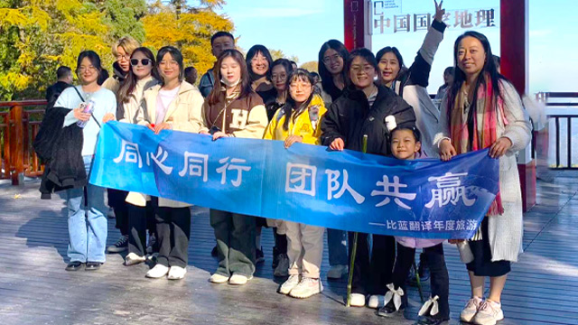 SFP+ 10G to SFP+ 10G Passivexx DA  0.3m  