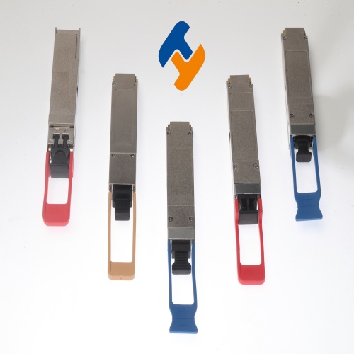 1756376386244108.jpg YANG4262(1).jpg